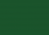 RAL 6035