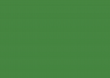 RAL 6017
